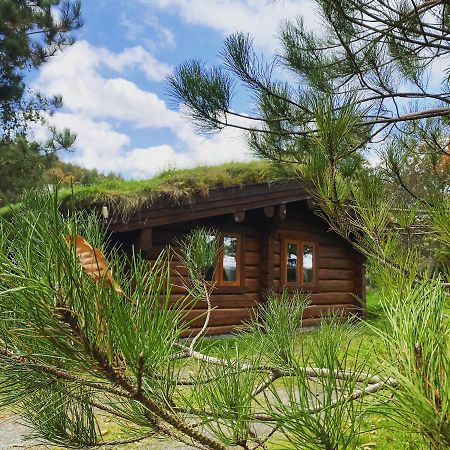 Log Home Village Ълвърстън Екстериор снимка
