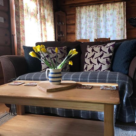 Log Home Village Ълвърстън Екстериор снимка