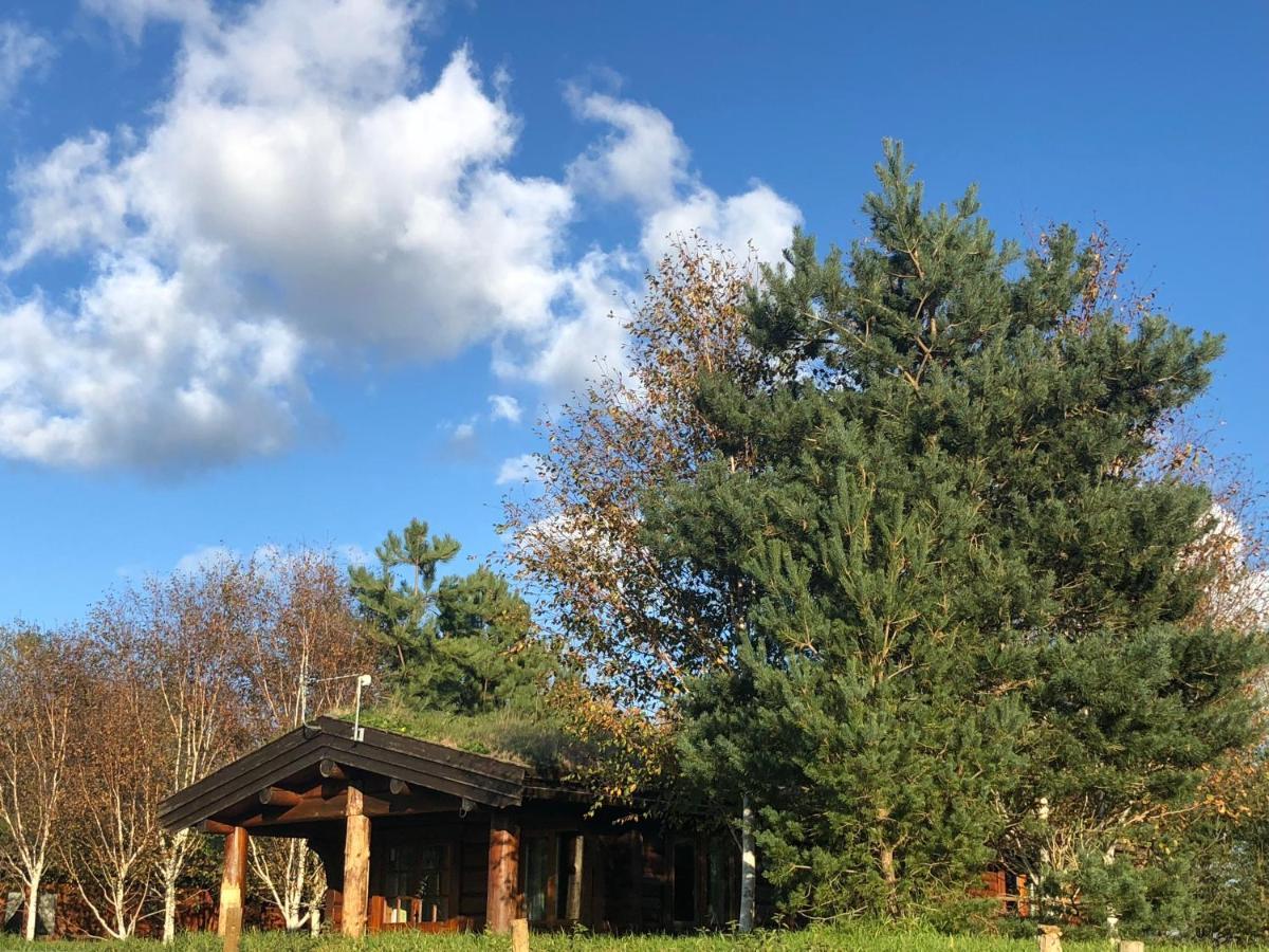 Log Home Village Ълвърстън Екстериор снимка
