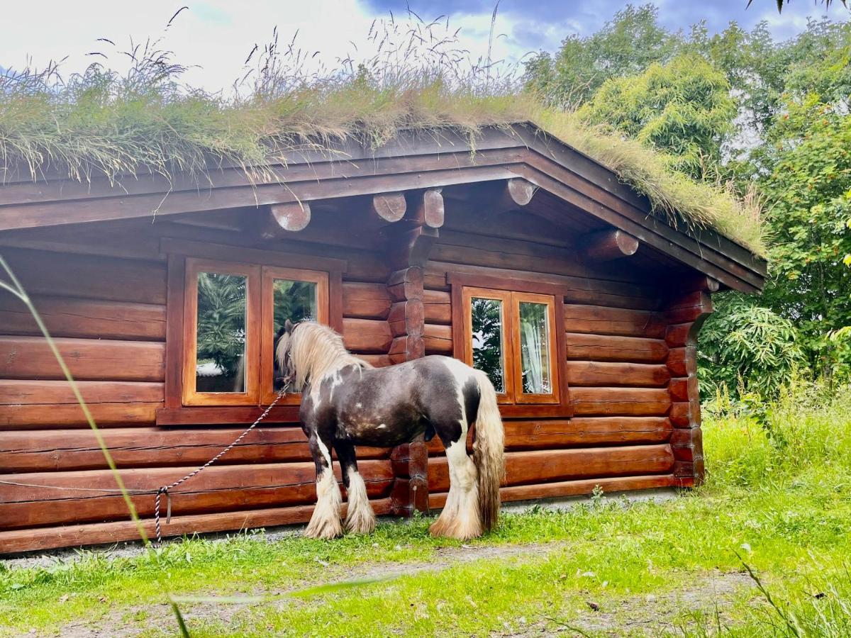 Log Home Village Ълвърстън Екстериор снимка